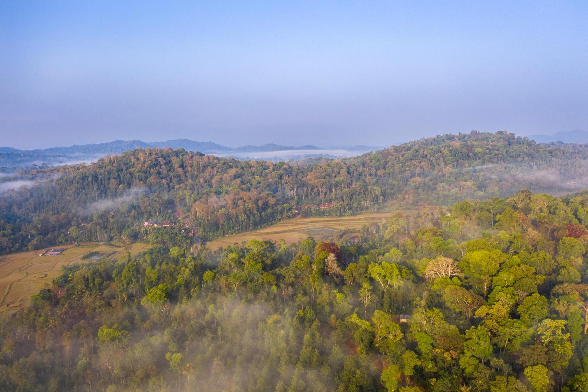 Ama Stays & Trails, Rare Earth Estate Madikeri Ngoại thất bức ảnh